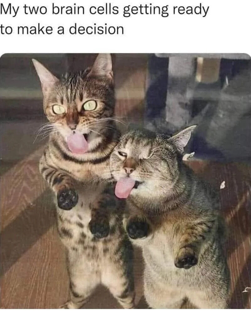 A humorous meme featuring two tabby cats standing upright on their hind legs. The cat on the left has wide, alert green eyes with its tongue sticking out, while the cat on the right has squinted eyes and also sticks its tongue out, creating a silly, uncoordinated appearance. Above the cats, a text overlay reads: 'My two brain cells getting ready to make a decision.' The image humorously personifies the common self-deprecating joke of having limited mental capacity ('two brain cells') struggling to make decisions, using the cats' goofy demeanor to amplify the relatable and lighthearted tone.