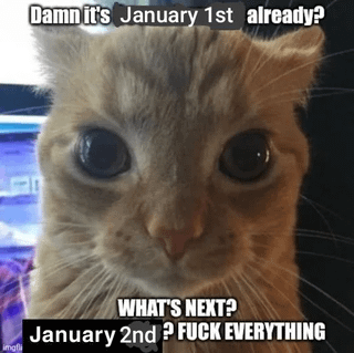 A meme featuring a close-up photograph of an orange tabby cat with wide, startled eyes. Overlaid text expresses exaggerated frustration about the start of the new year: 'Damn it's January 1st already? WHAT'S NEXT? January 2nd? FUCK EVERYTHING'. The cat's startled expression humorously contrasts with the sarcastic text, conveying amusement at the rapid passage of time into the new year.