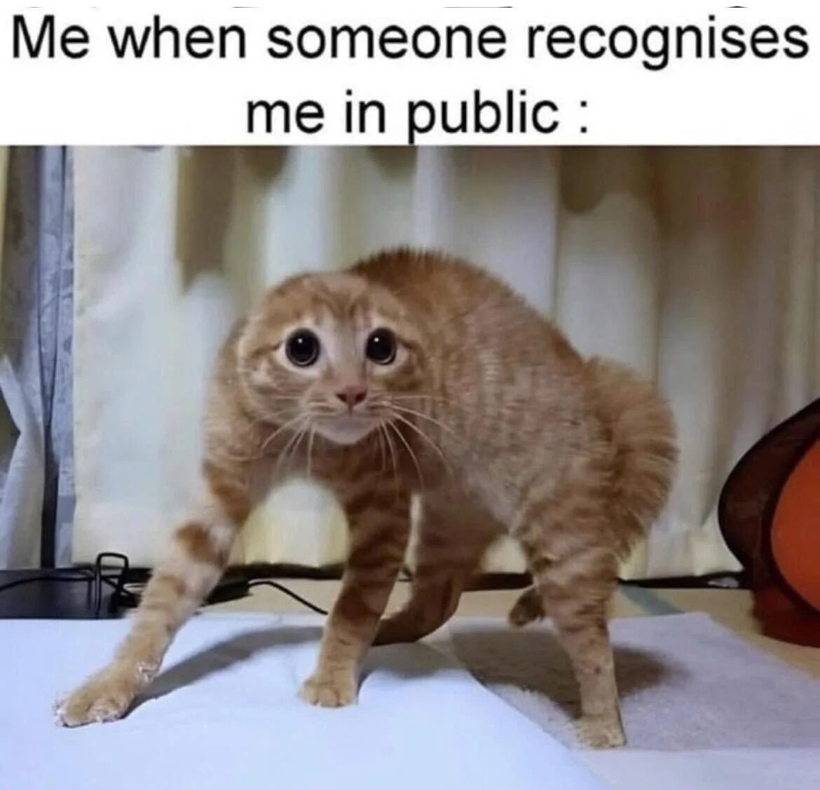 The meme consists of a top text overlay reading 'Me when someone recognises me in public :' followed by a photograph of an orange tabby cat. The cat has wide, round eyes and a slightly crouched posture, conveying a startled or shocked expression. The background features light-colored curtains, suggesting an indoor setting. The combination of the text and the cat's reaction humorously captures the feeling of surprise or awkwardness when unexpectedly recognized in public.