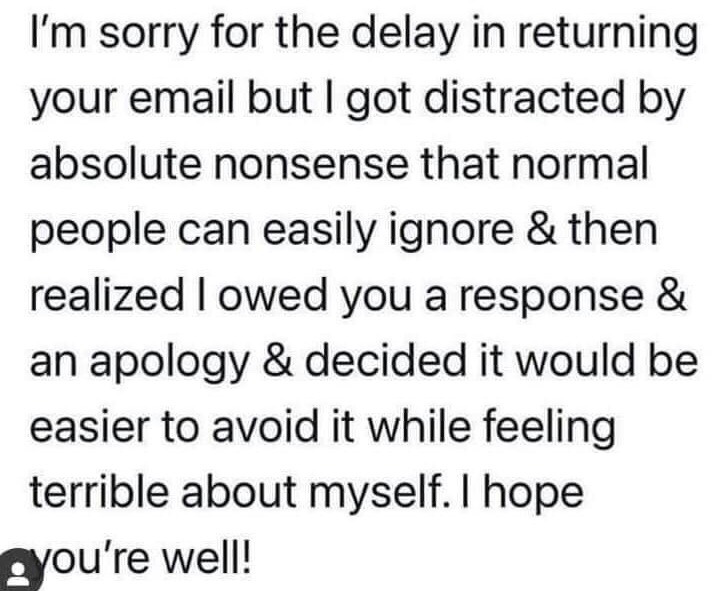 This is a text-only meme with black sans-serif text on a plain white background. It displays an exaggeratedly honest apology for delaying a response to an email, outlining the common, relatable cycle of getting distracted by trivial unimportant content that most people would ignore, then feeling guilty for owing a response and apology, leading to further avoidance of replying while feeling self-directed frustration, ending with a standard polite sign-off wishing the recipient well. It resonates strongly with people who experience executive dysfunction, work in roles requiring frequent email correspondence, or struggle with procrastination around professional communication.
