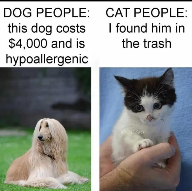 This is a two-panel side-by-side comparison meme highlighting a common humorous stereotype about pet owners. The left panel is labeled for "DOG PEOPLE", with text above a photo of a purebred long-haired Afghan Hound sitting on grass stating "this dog costs $4,000 and is hypoallergenic", referencing the common practice of dog owners purchasing expensive, specially bred purebred dogs. The right panel is labeled for "CAT PEOPLE", with text above a photo of a tiny black-and-white tuxedo kitten being held in a person's hand stating "I found him in the trash", referencing the common experience of cat owners rescuing or adopting stray cats that they find unexpectedly in public or discarded locations. The original title "Cat Distribution System" refers to the popular joke that stray cats effectively self-distribute to random people who become their owners, rather than being formally purchased or sought out.