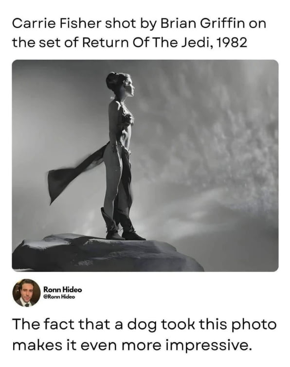 This meme features a black and white 1982 on-set photo of Carrie Fisher portraying Princess Leia in her iconic slave outfit from *Return of the Jedi*, standing on a rock looking off into the distance. Text above the photo states "Carrie Fisher shot by Brian Griffin on the set of Return Of The Jedi, 1982". Below the photo is a comment from user Ronn Hideo that reads "The fact that a dog took this photo makes it even more impressive." The joke relies on a name pun: Brian Griffin is both the name of the real professional photographer who took this original 1982 photo, and the name of the iconic anthropomorphic talking dog character from the animated sitcom *Family Guy*.