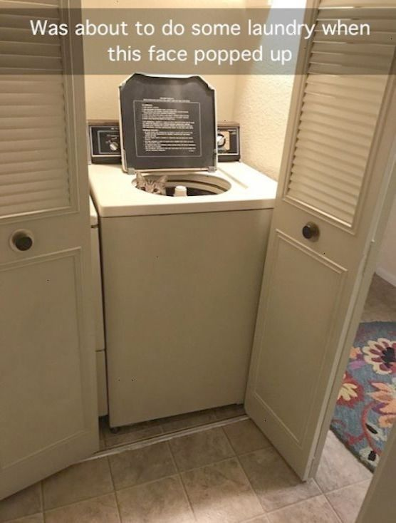 This image depicts a laundry closet with louvered double doors open to reveal an older top-loading washing machine. The machine's lid is propped up, and the combination of the lid's underside, the washer drum opening, and the two control dials on either side creates a strong optical illusion of a surprised, wide-eyed face with an open mouth. Overlaid at the top of the image is the text: 'Was about to do some laundry when this face popped up', which plays into the joke by framing the mundane chore as an unexpected, amusing encounter with a 'face' in the machine. The humor stems from accidental anthropomorphism, turning a common household appliance into a silly, expressive figure through a visual coincidence.