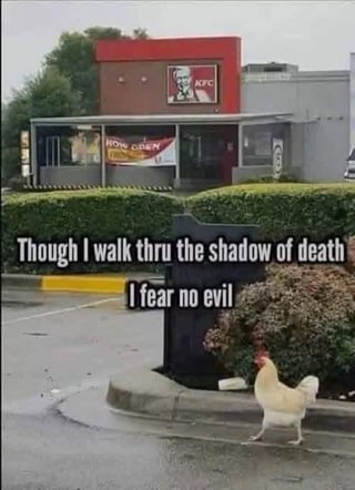A photograph of a white chicken walking on a wet sidewalk near a KFC restaurant. The background shows the KFC building with its red and white signage and a 'NOW OPEN' banner. Overlaid text reads: 'Though I walk thru the shadow of death I fear no evil,' a playful adaptation of the biblical quote from Psalm 23:4, creating irony as the chicken (a common ingredient in KFC's menu) appears unafraid while passing the fast-food chain.