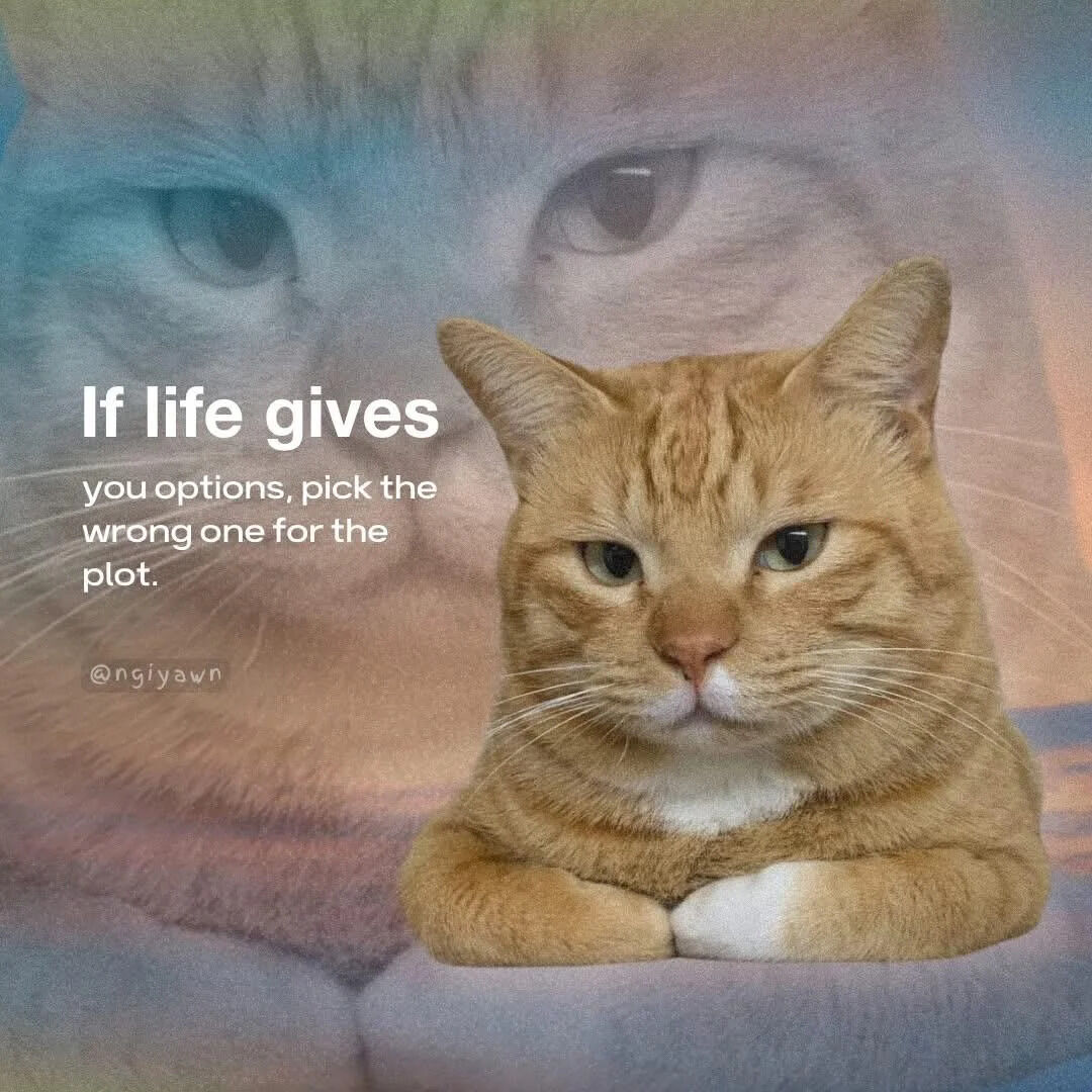 The image features an orange tabby cat with a serious, unamused expression in the foreground, sitting with its paws crossed on a soft surface. Behind the cat is a blurred, larger image of a cat's face with a soft rainbow gradient overlay, creating a dreamy background effect. On the left side of the image, white text reads: 'If life gives you options, pick the wrong one for the plot.' A watermark '@ngiyawn' is present in the lower left corner, likely indicating the creator's username.