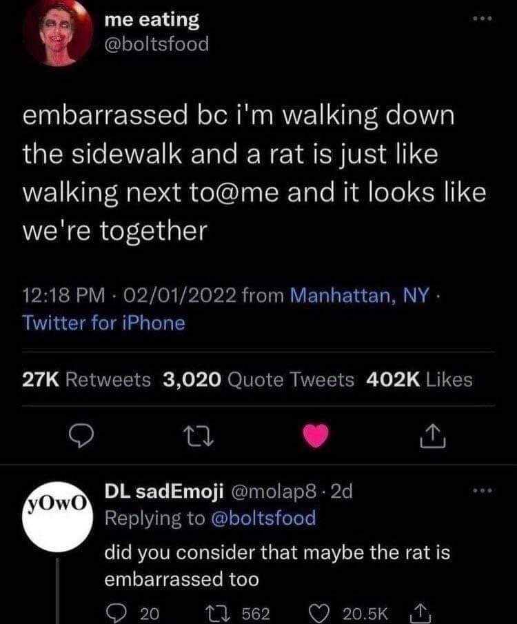 This image is a screenshot of a viral Twitter/X thread. The top tweet, posted by user @boltsfood from Manhattan, NY on February 1, 2022, states that the poster feels embarrassed because a rat was walking right beside them on a sidewalk, making it appear as if the two are together. The reply below from user @molap8 adds a funny twist, asking if the poster considered that the rat might also be embarrassed to be seen walking next to them. The humor comes from the relatable feeling of public awkwardness, paired with the absurd, relatable framing of the rat as having its own sense of embarrassment.