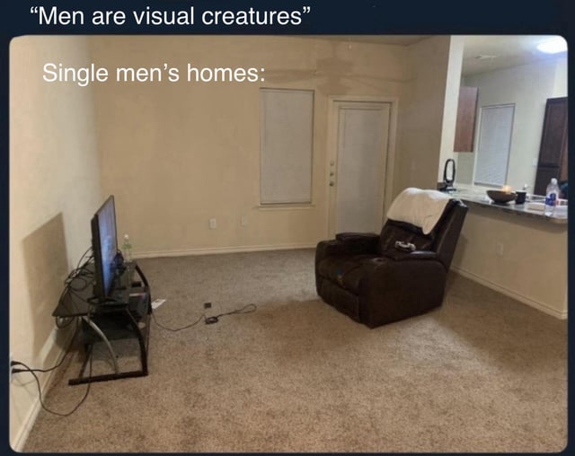 The meme uses irony to joke about common gender stereotypes. It opens with the widely repeated claim "Men are visual creatures" at the top of the image, below which text labels an accompanying photo as "Single men's homes:". The photo shows an almost entirely unfurnished, barren apartment living room, which only contains a small television on a basic stand, one brown recliner chair, loose cables on the carpet, and a small kitchen counter visible in the background, with no other decorations, furniture, or personal touches present. The humor comes from the stark contrast between the claim that men prioritize visual aesthetics, and the unappealing, minimally decorated living spaces that many single men are stereotyped to maintain.