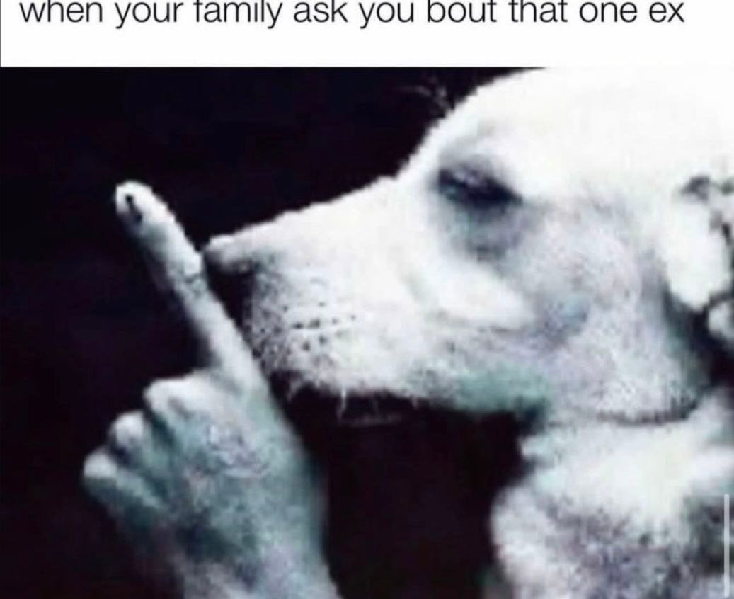 A meme featuring a white dog making a shushing gesture (paw to nose) with text at the top that reads 'when your family ask you bout that one ex'. The image humorously represents the desire to avoid talking about an ex-partner when family members inquire about them.