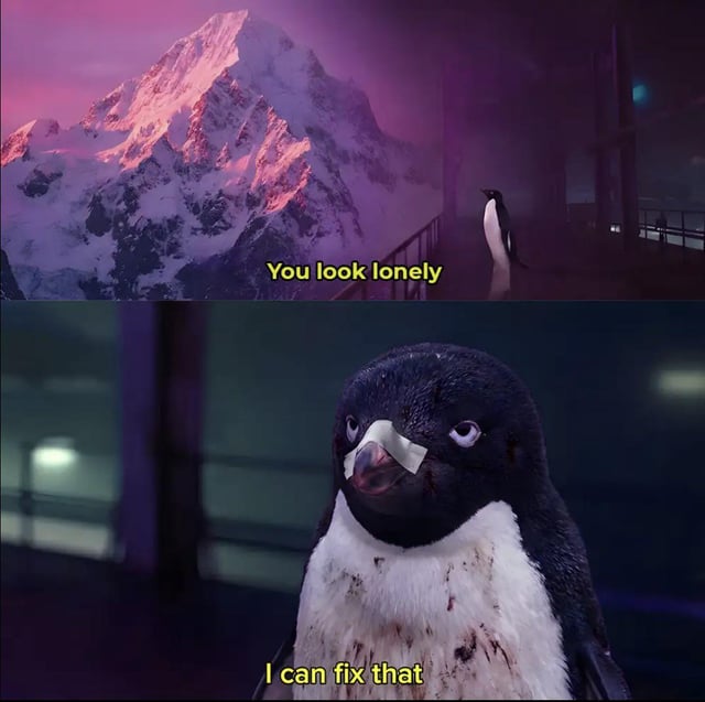 A two-panel meme featuring penguins. The top panel shows a single penguin standing alone on a dimly lit platform with a large, snow-covered mountain under a pinkish-purple sky; yellow text overlay reads 'You look lonely'. The bottom panel is a close-up of a penguin with a white band-aid on its beak, staring directly at the viewer with a serious expression; yellow text overlay reads 'I can fix that'. The contrast between the lonely setting and the penguin's confident, band-aid-adorned offer creates a humorous and lighthearted tone.