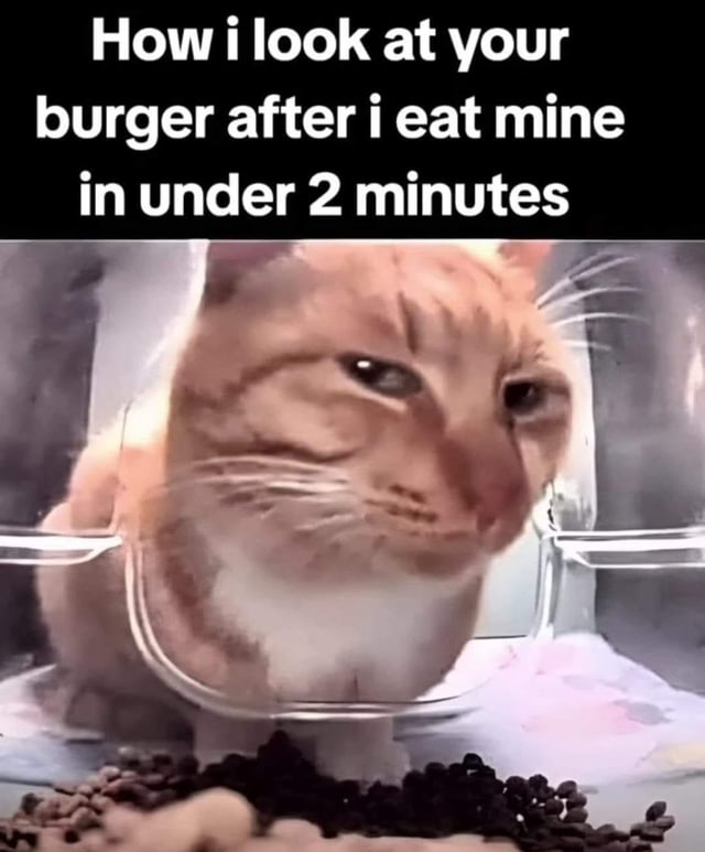 The meme consists of two main parts: a top text box with white text on a black background that reads 'How i look at your burger after i eat mine in under 2 minutes', and a lower image of an orange tabby cat. The cat is sitting inside a transparent glass container, positioned such that it is looking intently at a pile of kibble outside the container. The cat's expression is intense and longing, with its eyes fixed on the food, humorously personifying the feeling of coveting someone else's meal after quickly finishing one's own.