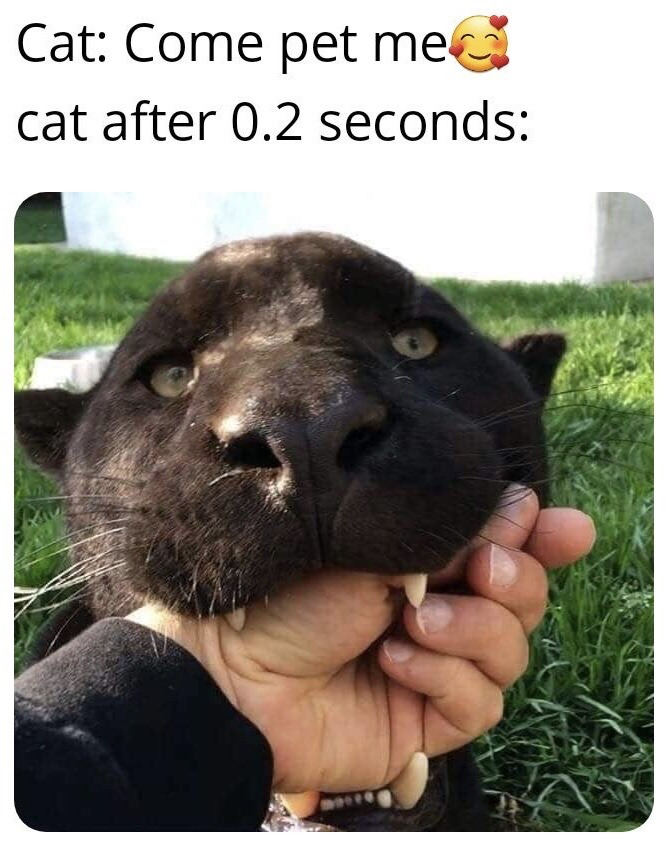 This is a single-panel animal meme. Top text first sets up a scenario where a cat acts affectionately, inviting people to pet it paired with a smiling heart-eyed emoji. The next line says 'cat after 0.2 seconds:', followed by a close-up photo of a large black panther biting down firmly on a human's hand, its sharp fangs fully visible and eyes wide, suggesting the cat immediately turned aggressive right after asking for pets. The joke plays on the common stereotype that domestic cats are extremely moody and unpredictable, exaggerating this trait by using a large wild panther instead of a house cat for heightened comedic effect.