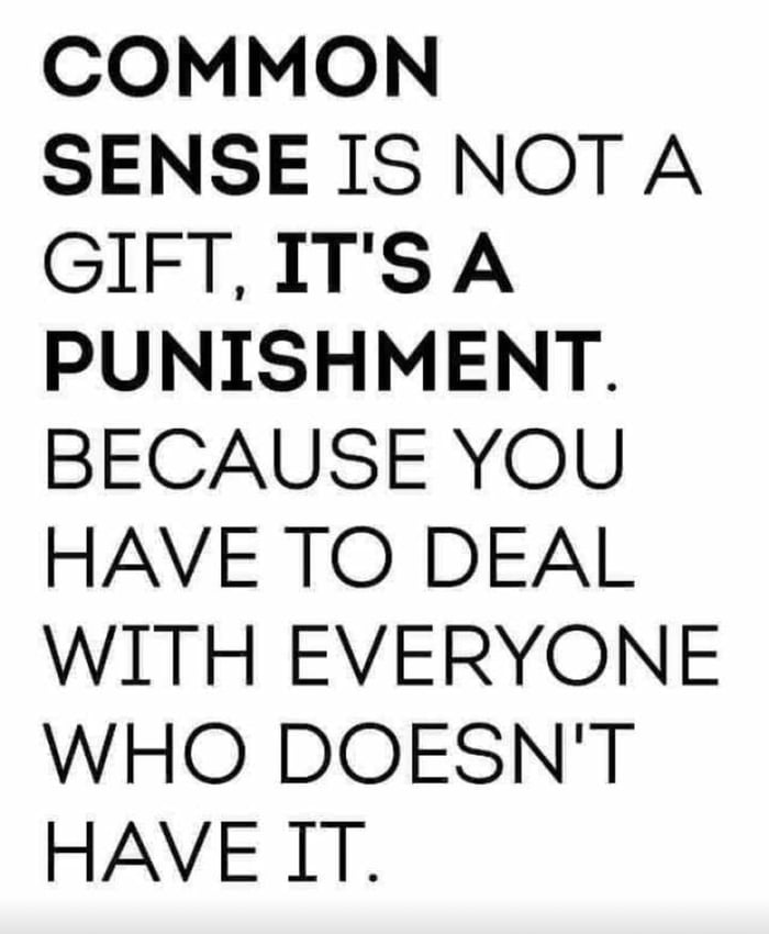 This is a simple text-based meme on a plain white background, featuring bold black sans-serif text that reads: 'COMMON SENSE IS NOT A GIFT, IT'S A PUNISHMENT. BECAUSE YOU HAVE TO DEAL WITH EVERYONE WHO DOESN'T HAVE IT.' The joke subverts the common assumption that having common sense is a positive, desirable gift, instead framing it as an annoyance or punishment, as people with common sense are forced to navigate interactions with others who lack basic sensible judgment, leading to frequent frustration.