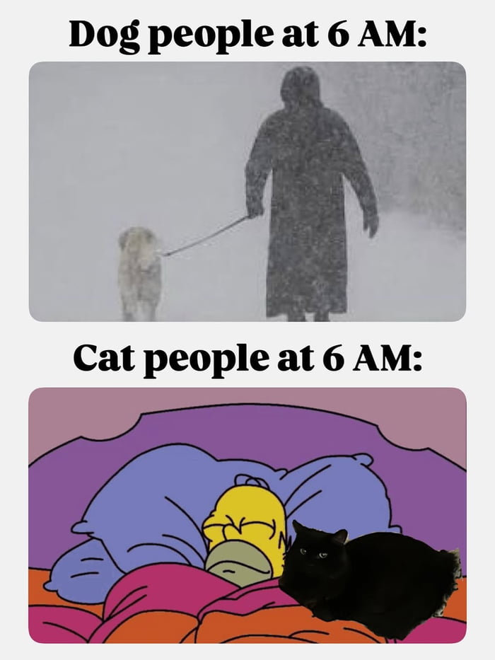 A two-panel comparative meme contrasting the morning routines of dog owners and cat owners at 6 AM. The top panel, labeled 'Dog people at 6 AM:', features a grayscale photograph of a silhouetted person in a long coat walking a dog through a snowy, overcast environment, emphasizing the early-morning responsibility and potential discomfort of dog ownership. The bottom panel, labeled 'Cat people at 6 AM:', shows an animated still of Homer Simpson from 'The Simpsons' lying comfortably in a purple bed with blue pillows and orange blankets, accompanied by a black cat, highlighting the relaxed, low-effort nature of cat ownership. The meme humorously exaggerates the lifestyle differences between dog and cat owners.