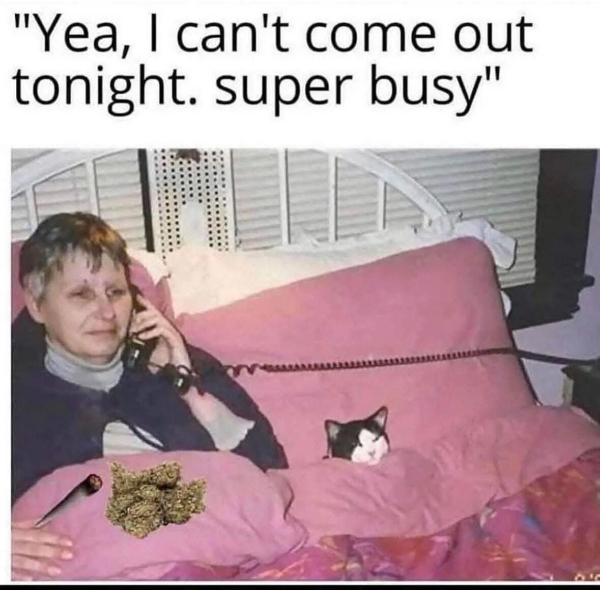 A meme consisting of a top text overlay that reads 'Yea, I can't come out tonight. super busy' above a photograph of an older individual reclining in bed. The person is holding a landline telephone to their ear, covered by pink bedding. A black and white cat is visible peeking out from under the covers, and there is a small, indistinct object (possibly a stuffed toy) near the person's hand. The humor arises from the contrast between the claim of being 'super busy' and the relaxed, leisurely scene of resting in bed with a cat.