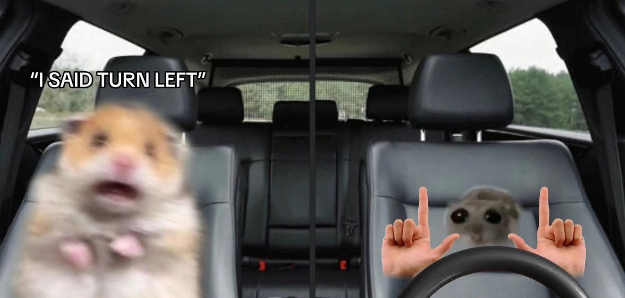 The meme is split into two vertical panels set inside a car interior. The left panel features a blurry, angry orange hamster in the passenger seat, yelling, with the caption "I SAID TURN LEFT" placed above it, conveying frustration over the driver taking the wrong direction. The right panel shows a small, wide-eyed distressed gray hamster in the driver's seat, with photoshopped human hands on the steering wheel holding both index fingers pointing straight up, looking confused and intimidated by the passenger's outburst. The joke is relatable to common arguments between drivers and front/back seat passengers over navigation and directions during car rides.
