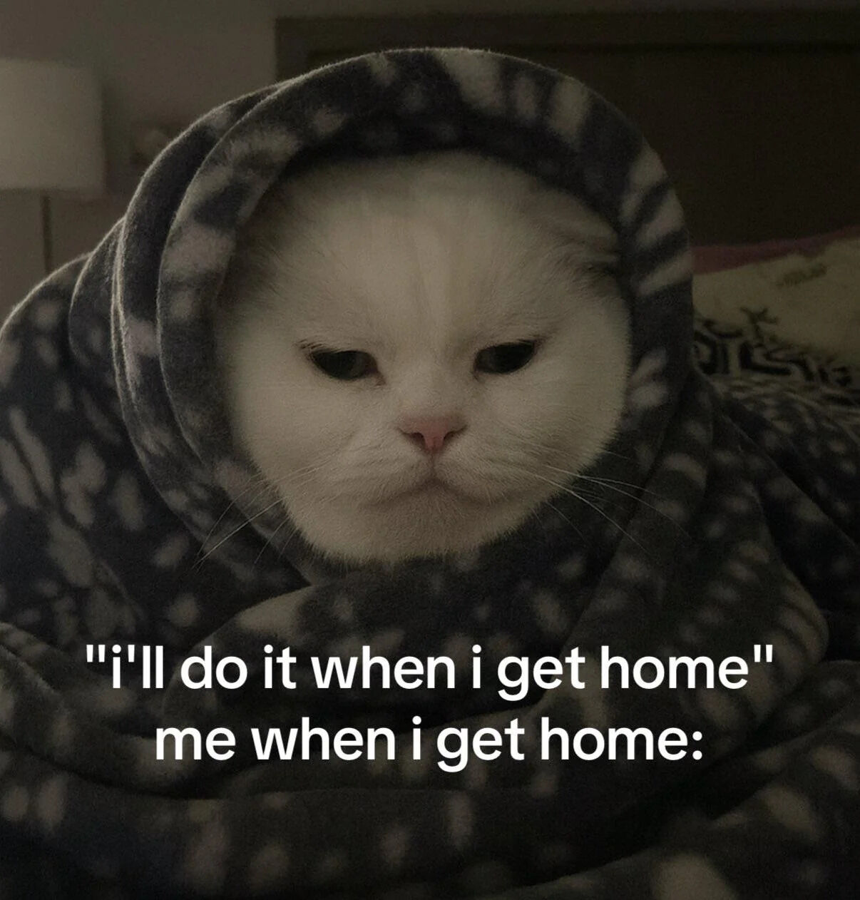 A photograph of a white cat wrapped in a gray and white polka-dotted blanket, with only its face visible. The cat has a calm, slightly indifferent expression. Overlaid text at the bottom reads: 'I'll do it when I get home' followed by 'me when I get home:', humorously depicting the common experience of procrastinating on tasks once arriving home. The background shows a blurred bedroom setting with a lamp and bed, emphasizing a cozy home environment.