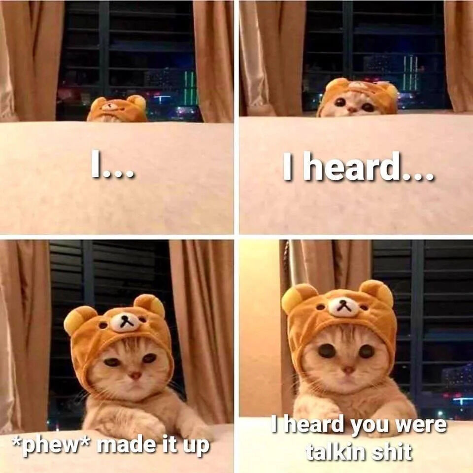 This is a 4-panel sequential meme featuring a real cat wearing a Rilakkuma bear hood, using a bait-and-switch narrative for comedic effect. Panel 1: The cat peeks over a ledge with the text "I...", building initial suspense. Panel 2: It peeks higher with "I heard...", amplifying anticipation that it overheard something. Panel 3: The cat pulls itself fully up onto the ledge, looking relieved with the text "*phew* made it up", tricking viewers into thinking the suspense was a false alarm. Panel 4: The cat’s eyes widen into an accusatory stare, delivering the punchline "I heard you were talkin shit"—revealing it did catch someone making negative comments. The humor comes from the sudden shift from apparent relief to a direct callout.