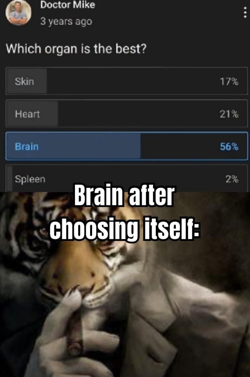 This meme combines two elements to create a self-referential joke:
1. A screenshot of a 3-year-old poll from social media personality Doctor Mike asking **Which organ is the best?**, with results: Skin (17%), Heart (21%), Brain (56%), Spleen (2%).
2. A reaction image of a tiger edited into a suit, holding a cigar with a smug expression, paired with the caption *Brain after choosing itself:*

The joke hinges on the absurdity that the brain is the organ responsible for making the choice to vote for itself, framing the brain as smug and self-satisfied for picking itself as the best organ.