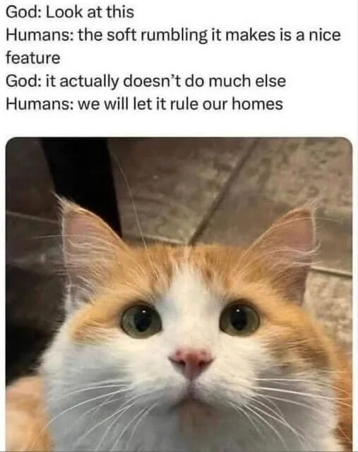This meme features a text conversation between God and humans at the top, paired with a close-up photo of a wide-eyed orange and white domestic cat. The joke plays on universal human obsession with pet cats: after God shows humans cats and notes that their only notable feature is the soft rumbling purring they make, and that cats don't really do much else, humans immediately decide to let cats rule their entire homes, which aligns with the common experience of cat owners letting their felines dominate their households.