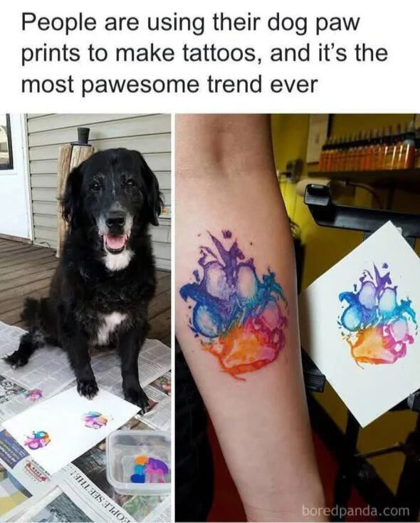 A two-panel collage highlighting the trend of turning dog paw prints into tattoos. The left panel features a black dog with a white chest sitting on newspapers, with a colorful paw print artwork placed in front of it, appearing to have created the print. The right panel shows a close-up of a person's arm with a vibrant watercolor-style tattoo of a dog paw print in shades of blue, purple, pink, and orange, alongside a paper with the identical paw print design. The top text reads, 'People are using their dog paw prints to make tattoos, and it's the most pawsome trend ever,' incorporating a pun on 'awesome' with 'paw' to emphasize the dog-related theme.