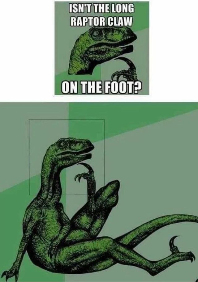 A two-panel meme featuring a green, raptor-like dinosaur. The top panel displays a close-up of the raptor's head with the text 'ISN'T THE LONG RAPTOR CLAW ON THE FOOT?' in bold white letters, posing a question about raptor anatomy. The bottom panel shows the full raptor sitting upright, lifting its foot to clearly display the large, curved claw on its foot, visually answering the question posed in the top panel. The background of both panels is a gradient of green shades with geometric patterns.