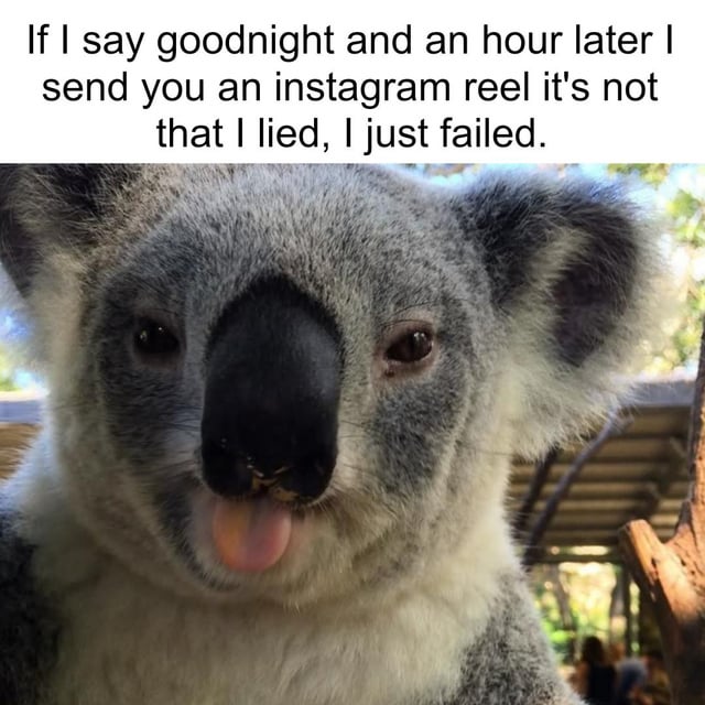 A meme featuring a top text overlay and a close-up photograph of a koala. The text reads: 'If I say goodnight and an hour later I send you an instagram reel it's not that I lied, I just failed.' The koala has gray and white fur, a black nose, and its tongue is slightly protruding, giving a playful or sheepish expression. The background is an outdoor setting with blurred trees and a wooden structure, indicating the koala is in a natural or zoo environment. The meme humorously captures the relatable scenario of intending to go to sleep but getting distracted, framed as a 'fail' rather than a lie.