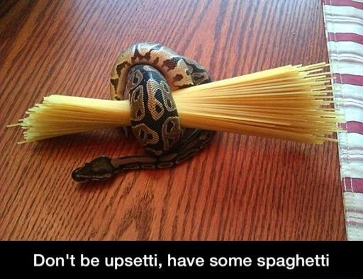 A photograph of a small snake, likely a ball python, coiled around a bundle of uncooked spaghetti on a wooden table. The snake's body is wrapped around the spaghetti, with its head resting on the table surface. At the bottom of the image, there is a text overlay that reads 'Don't be upsetti, have some spaghetti,' which uses a playful rhyming pun ('upsetti' and 'spaghetti') to convey a wholesome, comforting message encouraging someone to feel better by enjoying spaghetti.