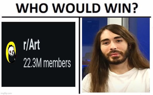 A 'Who Would Win?' format meme featuring two panels with the top text 'WHO WOULD WIN?'. The left panel displays the r/Art subreddit logo (a panda head in a yellow circle) accompanied by the text 'r/Art 22.3M members' on a black background. The right panel shows a real person with long brown hair, a beard, wearing a white shirt, against a blue and white indoor background. The meme humorously or ironically contrasts the large online community of r/Art with an individual person.