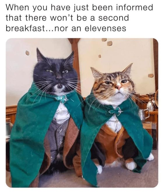The image depicts two cats sitting upright in a室内 setting, both dressed in green cloaks with decorative bows around their necks. The black cat on the left and tabby cat on the right have solemn, disappointed expressions. Above the cats is a text overlay that reads: 'When you have just been informed that there won't be a second breakfast... nor an elevenses'. This references the hobbit tradition from J.R.R. Tolkien's 'The Lord of the Rings' where hobbits enjoy multiple daily meals, including second breakfast and elevenses. The cats' attire and expressions humorously mimic the reaction of hobbits learning these meals are取消.
