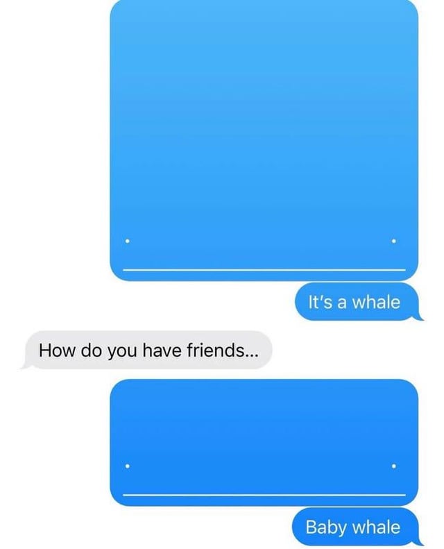 The image is a chat interface meme featuring three text bubbles. A gray bubble at the bottom asks, 'How do you have friends...' Above it, two blue bubbles respond with 'It's a whale' and 'Baby whale,' creating humor through absurd, unrelated answers to the original question. The joke relies on non-sequitur responses, where the replies ignore the inquiry about friendship and instead reference whales, leading to a silly, unexpected punchline.