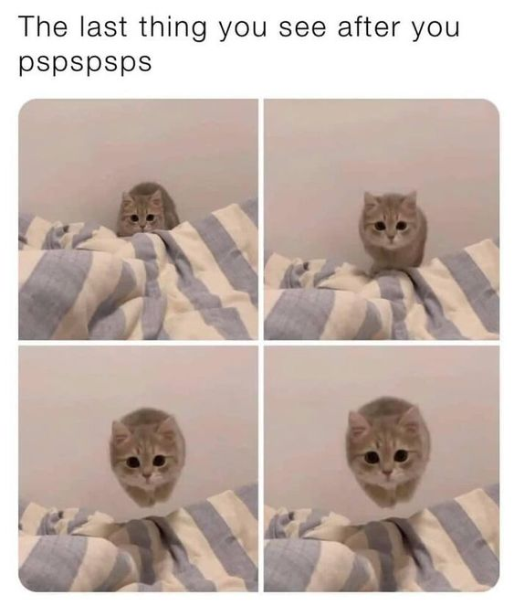 This is a 4-panel collage meme centered on a domestic cat. The top caption reads *"The last thing you see after you pspspsps"*. The first panel shows a small cat peeking out from behind a blue-and-white striped blanket, with wide, attentive eyes. The second panel depicts the cat sitting upright on the blanket, staring directly at the viewer. The third and fourth panels are digitally edited to create the illusion that the cat's head is detaching from its body, floating above the blanket and appearing larger with each subsequent panel. The humor comes from the absurd, slightly menacing exaggeration of a common pet interaction: using "pspspsps" sounds to call a cat, framing the cat's approach as a surreal, almost horror-like final sight, turning a mundane moment into a funny, uncanny gag.
