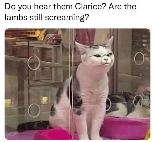 This meme features text at the top reading 'Do you hear them Clarice? Are the lambs still screaming?', a famous menacing line spoken by the character Hannibal Lecter from the 1991 horror film *The Silence of the Lambs*. Below the text is a photograph of a white cat with dark spots sitting upright inside a glass pet enclosure. The glass distorts the cat's face slightly, giving it an eerie, unsettling smug expression that perfectly matches the threatening tone of the movie quote for humorous effect. Other cats can be seen resting in the background of the enclosure.
