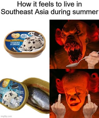 This is a 2x2 grid relatable meme. The top text reads "How it feels to live in Southeast Asia during summer". The top left panel shows a closed, unopened Selecta brand Cookies & Cream ice cream tub that looks appealing and desirable. The top right panel shows Pennywise the Dancing Clown from the *It* horror franchise, holding a spoon with an excited, menacing open mouth, ready to enjoy the treat. The bottom left panel shows the same ice cream tub opened, but instead of frozen ice cream, it contains a whole canned fish, visually referencing the extreme heat of Southeast Asian summers that melts ice cream extremely fast, ruining the treat immediately after purchase. The bottom right panel shows Pennywise looking furious, holding up both middle fingers to express his disappointment and anger at the ruined product. The joke plays on the relatable frustration of dealing with oppressive summer heat that ruins frozen treats before you can eat them, matching the sarcastic original title of "Fish flavor, my favorite".