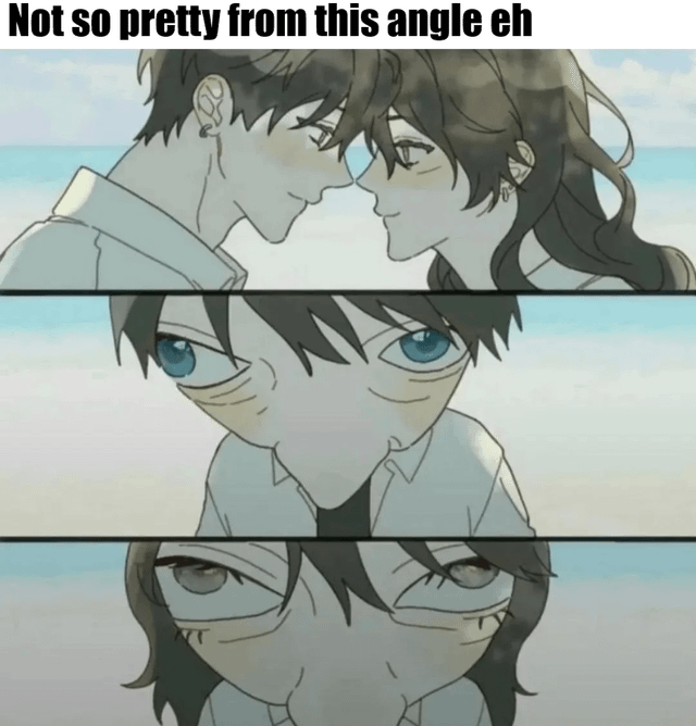 A three-panel meme featuring animated characters. The first two panels show a male and female character with affectionate expressions, leaning close to each other against a beach backdrop, creating a romantic atmosphere. The third panel humorously distorts the male character's face, making it appear grotesque when viewed from a low angle, contrasting sharply with the prior romantic scenes. The top text 'Not so pretty from this angle eh' emphasizes the joke about how perspective alters perception.
