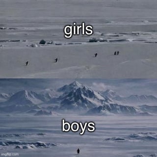 A two-panel meme featuring penguins in snowy/icy environments to humorously contrast social behavior stereotypes. The top panel shows a group of penguins walking together with the text 'girls' above, while the bottom panel shows a single isolated penguin with the text 'boys' below. The joke plays on the common stereotype of girls socializing in groups versus boys preferring solitude, using penguins as a relatable, non-human stand-in.