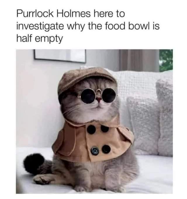 The meme features a text caption at the top that reads 'Purrlock Holmes here to investigate why the food bowl is half empty', above a photograph of a fluffy grey cat. The cat is dressed in a classic detective outfit consisting of a brown deerstalker cap, round dark sunglasses, and a tan double-breasted trench coat, sitting upright on a white couch in a home living room setting. The humor comes from the pun combining the cat vocalization 'purr' with the name of famous fictional detective Sherlock Holmes, framing the cat's natural preoccupation with its food supply as a formal detective investigation.