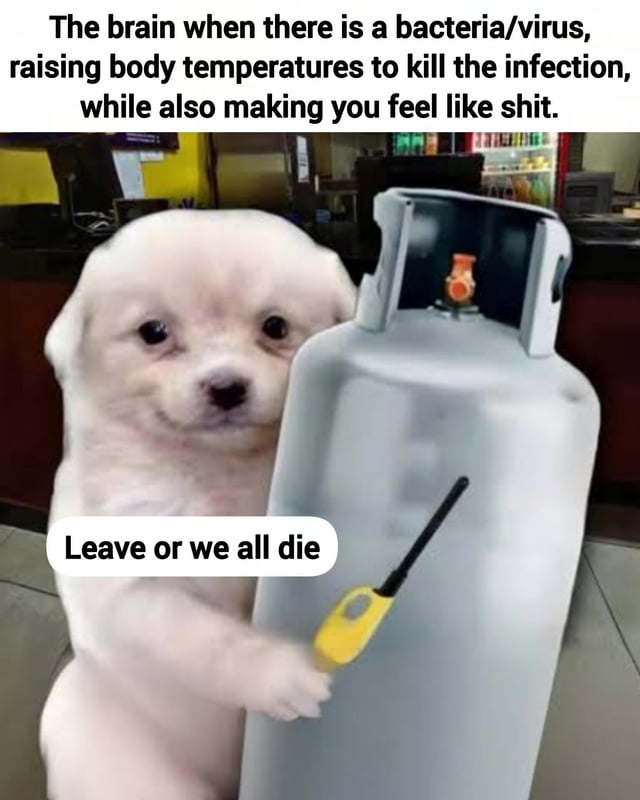 A meme image featuring a small white dog standing upright in what appears to be a convenience store or kitchen setting. The dog has a serious, determined expression and is holding a large gray gas canister in one paw while gripping a yellow lighter in the other. Above the dog, there is a caption that reads: 'The brain when there is a bacteria/virus, raising body temperatures to kill the infection, while also making you feel like shit.' The dog has a speech bubble containing the text: 'Leave or we all die.' The humor lies in the analogy between the brain's method of inducing a fever (a drastic but necessary measure to fight infection) and the dog's threatening stance with a gas canister (a drastic, self-destructive threat to force an outcome), highlighting the unpleasant side effects of fevers.