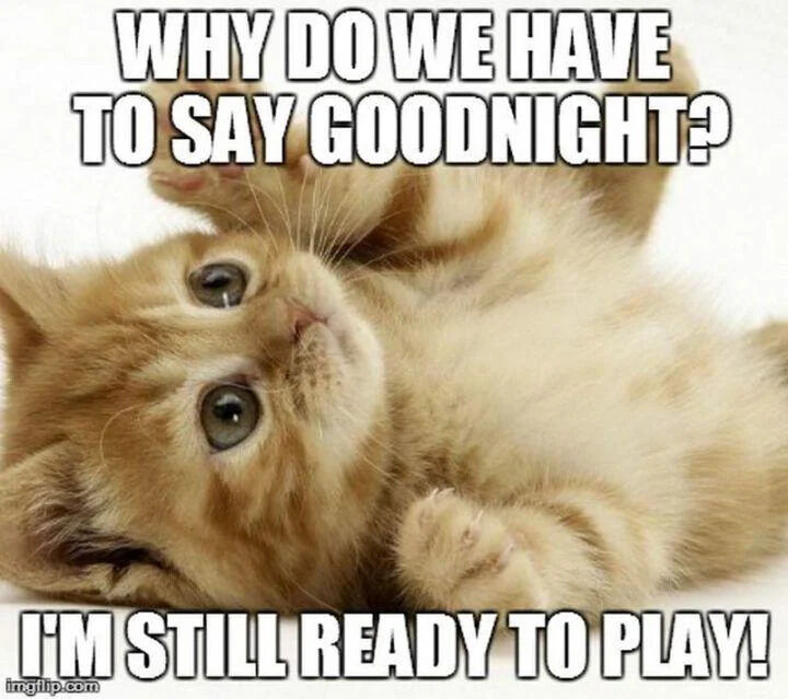 The image features an orange tabby kitten lying on its back with a playful posture: paws raised, belly exposed, and large, innocent green eyes looking upward. Overlaid in bold, white capital letters at the top is the text 'WHY DO WE HAVE TO SAY GOODNIGHT?' and at the bottom 'I'M STILL READY TO PLAY!', personifying the kitten as expressing reluctance to end playtime for bedtime. The kitten's cute, curious expression and relaxed, playful body language enhance the wholesome and humorous tone, making the meme relatable to anyone familiar with pets resisting sleep.