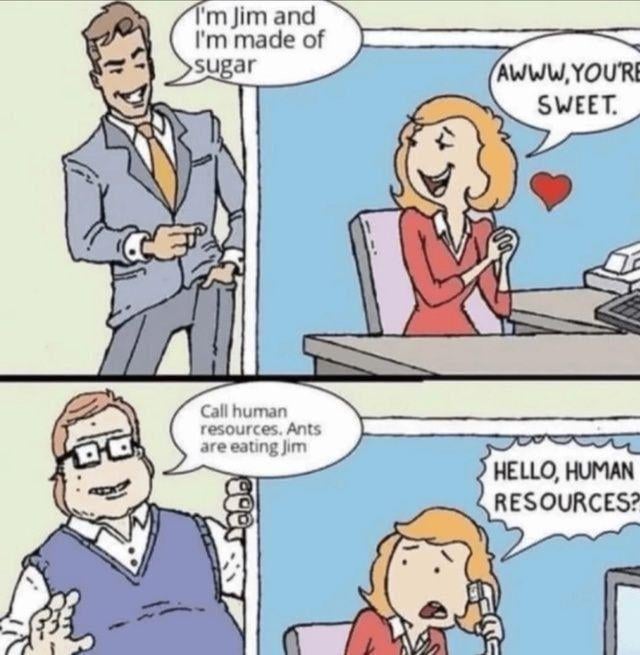 A two-panel comic strip featuring workplace humor centered around a pun. In the top panel, a man named Jim stands in an office, introducing himself with 'I'm Jim and I'm made of sugar.' A woman in a red shirt responds affectionately, 'AWW, YOU'RE SWEET.' with a red heart symbol, playing on the double meaning of 'sweet' (kind vs. containing sugar). The bottom panel escalates the scenario: another man (wearing glasses and a vest) urgently gestures, saying 'Call human resources. Ants are eating Jim,' while the woman, now concerned, holds a phone to her ear and exclaims, 'HELLO, HUMAN RESOURCES?' The comic uses absurd literalism of Jim being 'made of sugar' to create a humorous consequence (ants attacking him) and workplace context (involving HR).