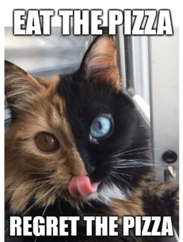 A meme featuring a cat with a two-toned face (brown and black) and heterochromatic eyes (brown and blue), sticking its tongue out. The top text reads 'EAT THE PIZZA' and the bottom text reads 'REGRET THE PIZZA', humorously depicting the cycle of indulging in food and later feeling remorse.