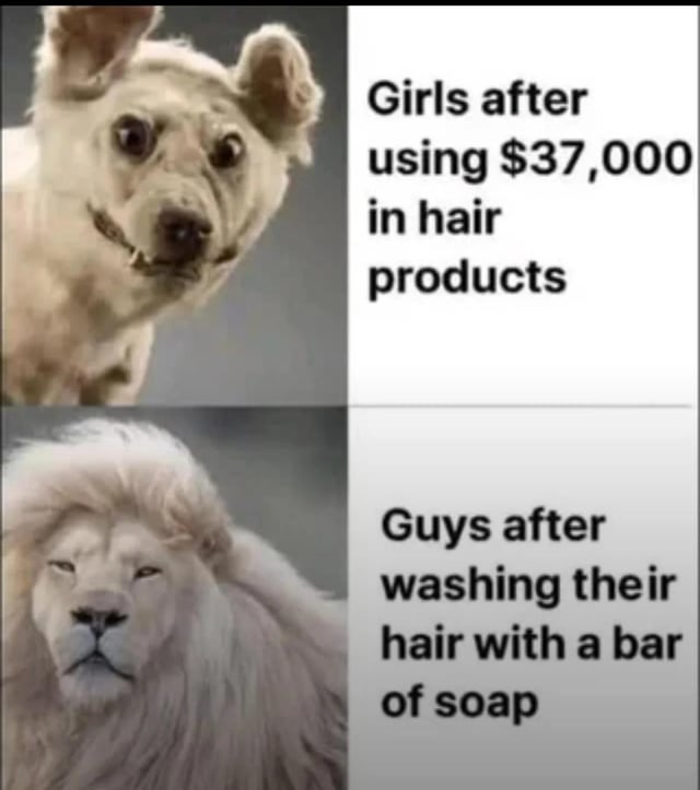 This is a two-panel comparison meme. The top panel features an uncanny, awkward-looking edited dog-lion hybrid with messy, unkempt fur, wide bulging eyes, and a strained, forced smile, paired with text noting it represents girls after spending $37,000 on hair care products. The bottom panel shows a regal, calm white lion with a full, healthy, well-groomed mane, paired with text noting it represents guys after washing their hair with a basic bar of soap. The joke relies on humorous exaggeration of common gender stereotypes around personal care spending, poking fun at the idea that women spend exorbitant amounts on specialized hair products for underwhelming results while men spend almost nothing on basic soap and get far better looking hair, aligning with the original title referencing saving household money.