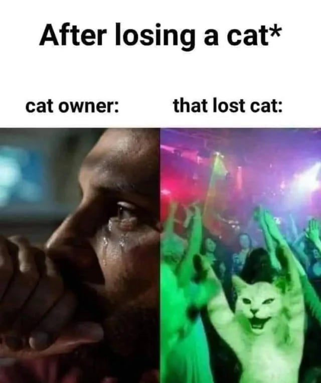 A two-panel meme titled 'After losing a cat*'. The top text introduces the scenario, with the left panel labeled 'cat owner:' showing a close-up of a person with tears streaming down their face, appearing deeply sad. The right panel, labeled 'that lost cat:', features an edited image of a white cat with its paws raised, seemingly dancing in a vibrant, colorful party environment with a crowd in the background. The meme humorously contrasts the owner's distress with the cat's apparent enjoyment, implying the cat is having fun elsewhere after being lost.