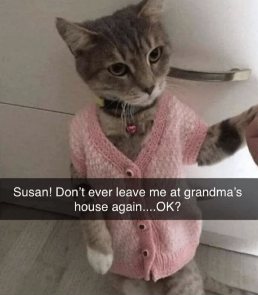 A gray tabby cat wearing a pink knitted sweater with buttons stands on a light-colored floor, extending its right paw forward. The cat has a collar with a small pink tag and looks directly at the viewer with wide, earnest eyes. A text overlay at the bottom of the image reads: 'Susan! Don't ever leave me at grandma's house again....OK?' The cat's posture and expression convey a pleading, heartfelt emotion, as if begging not to be left behind.