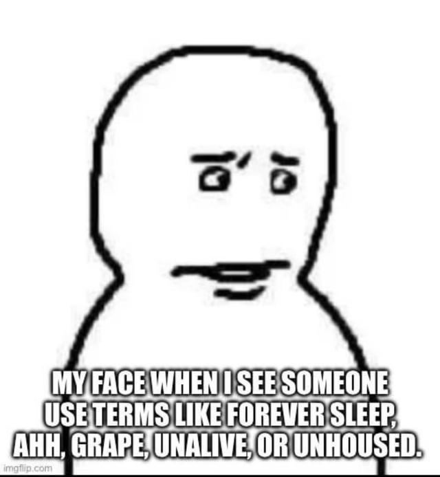 A simple black-and-white stick figure illustration with a round head, slanted eyebrows, neutral mouth, and upper body. Below the figure, bold uppercase text reads: 'MY FACE WHEN I SEE SOMEONE USE TERMS LIKE FOREVER SLEEP, AHH, GRAPE, UNALIVE, OR UNHOUSED.' The stick figure's expression conveys unimpressed confusion, serving as a reaction to the use of euphemistic or internet slang terms instead of direct adult language. A small 'imgflip.com' watermark is present at the bottom left corner.