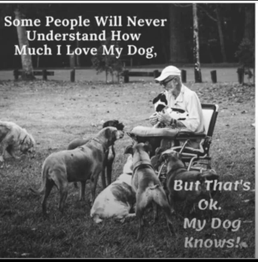 A black and white photograph depicting an elderly individual seated in a folding chair in a park-like setting, surrounded by multiple dogs. The person is gently holding a small dog close to their chest, while several other dogs—of various sizes—gather around them, some standing and others sitting attentively. The background features trees and wooden benches, suggesting a calm, outdoor environment. Overlaid on the image is the text: 'Some People Will Never Understand How Much I Love My Dog, But That's Ok. My Dog Knows!', which emphasizes the deep, mutual affection between the person and their dogs.