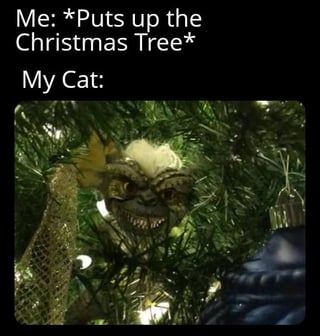 A meme featuring two parts: top text reading 'Me: *Puts up the Christmas Tree* My Cat:' followed by a photograph of a real cat hidden within the branches of a decorated Christmas tree. The cat displays a menacing expression with narrowed eyes and bared teeth, creating a humorous contrast between the festive context of setting up holiday decorations and the pet's seemingly threatening reaction. The image humorously captures common pet behavior of interfering with or reacting dramatically to Christmas trees.