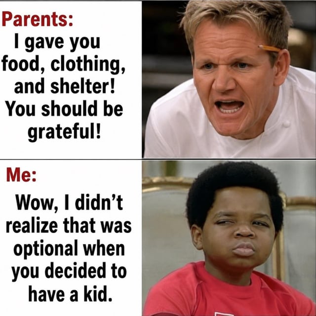This is a two-panel comparative meme illustrating a common snarky clapback to parental guilt-tripping. The top panel is split: left text states the common parental argument "I gave you food, clothing, and shelter! You should be grateful!", paired with the right image of an angry, yelling Gordon Ramsay representing the frustrated parent making the claim. The bottom panel left has the narrator (child)'s response: "Wow, I didn't realize that was optional when you decided to have a kid.", paired with the right image of an unimpressed, side-eyeing young boy from *Everybody Hates Chris*, conveying a sarcastic, judgmental reaction calling out that providing basic needs is a mandatory responsibility of people who choose to have children, not a favor owed gratitude for.