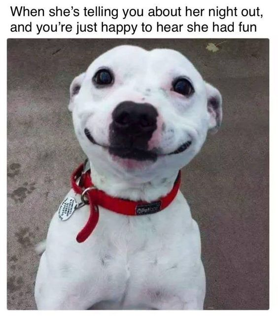 The meme features text at the top that reads 'When she’s telling you about her night out, and you’re just happy to hear she had fun' placed above a viral photo of a white short-haired dog with a dark nose, wearing a red collar, who appears to be smiling widely and contentedly at the camera. The joke uses the happy, unproblematic expression of the dog to represent the reaction of a caring, non-jealous partner who is genuinely glad their significant other had a good time on their night out, leaning into wholesome, positive relationship humor.
