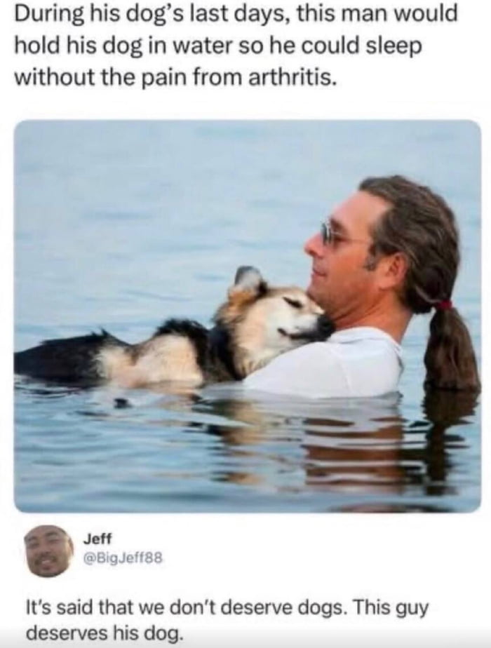 The post consists of explanatory text at the top, a main photograph, and a user comment below. The photograph shows a man with a long tied ponytail and sunglasses standing partially submerged in calm water, holding his elderly German Shepherd mix dog, who appears peacefully asleep with closed eyes, resting against his chest. The text above the photo explains that the man holds his dog in the water during the dog's final days, as the buoyancy allows the dog to sleep without suffering pain from arthritis. Below the photo is a comment from user Jeff @BigJeff88 noting that while people often say humans don't deserve dogs, this man very much deserves his dog. The content highlights the deep, loving, devoted bond between the pet owner and his dying dog.