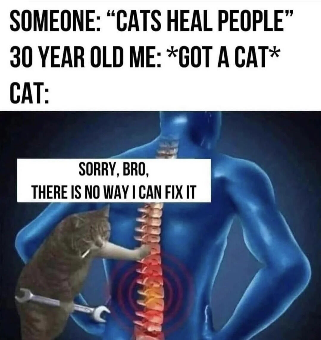 A meme featuring a humorous take on the common belief that cats have healing properties. The top text sets up the premise: 'SOMEONE: "CATS HEAL PEOPLE" 30 YEAR OLD ME: *GOT A CAT* CAT:'. Below this text is an image of a blue human figure with a highlighted spine (colored red/orange) and a cat standing next to the figure holding a wrench, appearing to examine the spine. The cat has a speech bubble that reads: 'SORRY, BRO, THERE IS NO WAY I CAN FIX IT'. The meme subverts expectations by portraying the cat as a mechanic who can't actually fix the human's spinal issues.